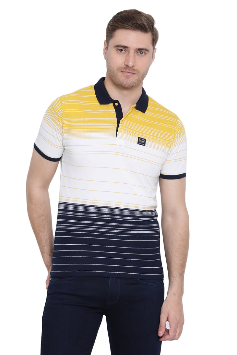 Ombre Striper Polo T shirt