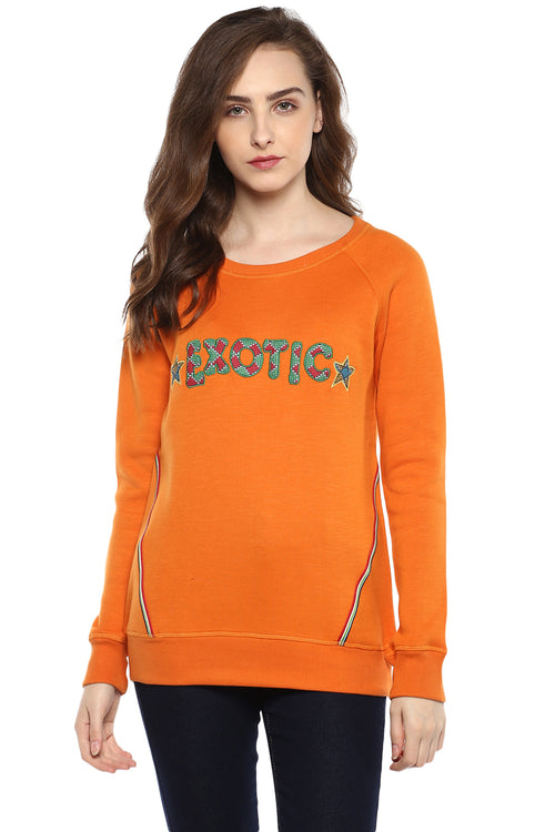 Solid Boat Neck Front Embroidered Sweatshirt