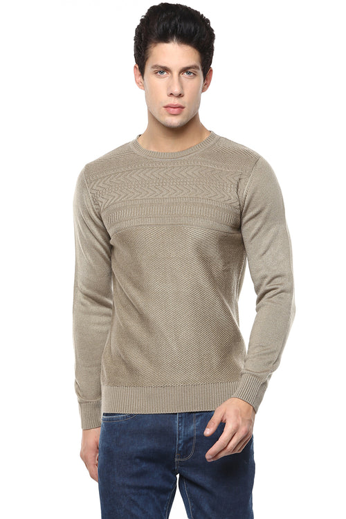 Axmann Solid Self Designed Pullover